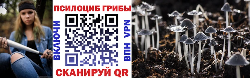 Псилоцибиновые грибы MAGIC MUSHROOMS  закладки  Артём 